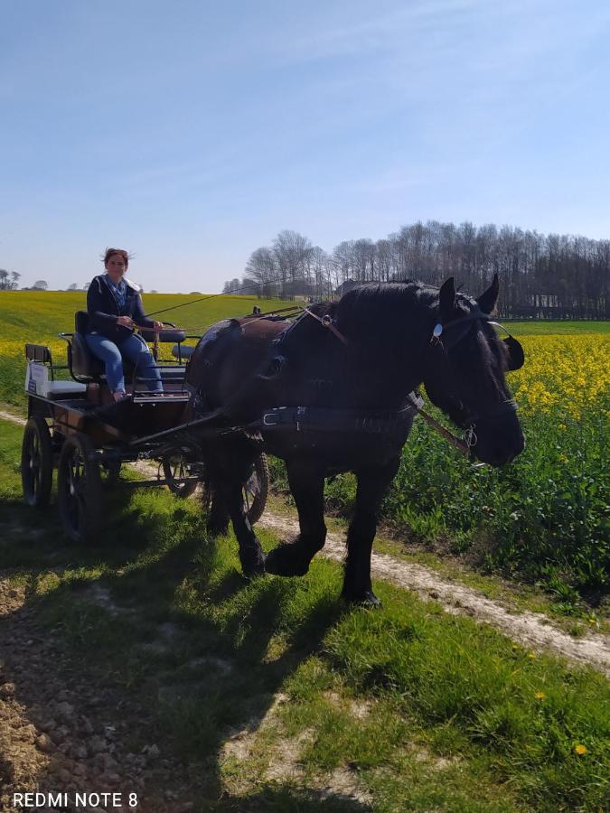 Veritable Roulotte Hippomobile "La Bailleul" Mentheville Eksteriør bilde